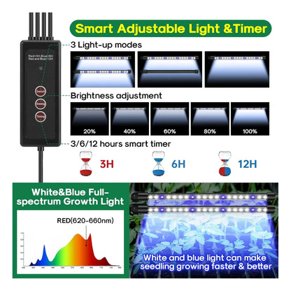 Seed Starter Tray Kit