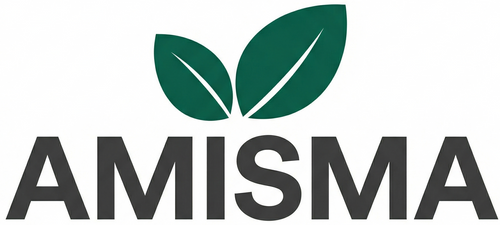 AMISMA
