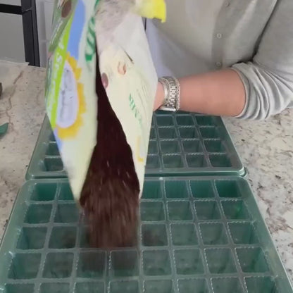 Seed Starter Tray Kit